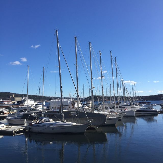 Oslo: Norwegian Explorers and Culture 3 Museum Tour - What to Bring, Wear, and Watch Out for