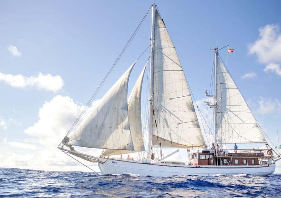 Oslo: Oslofjord Fjord-Style Dinner Cruise - Value check: is $78 worth it for a 3-hour fjord dinner?
