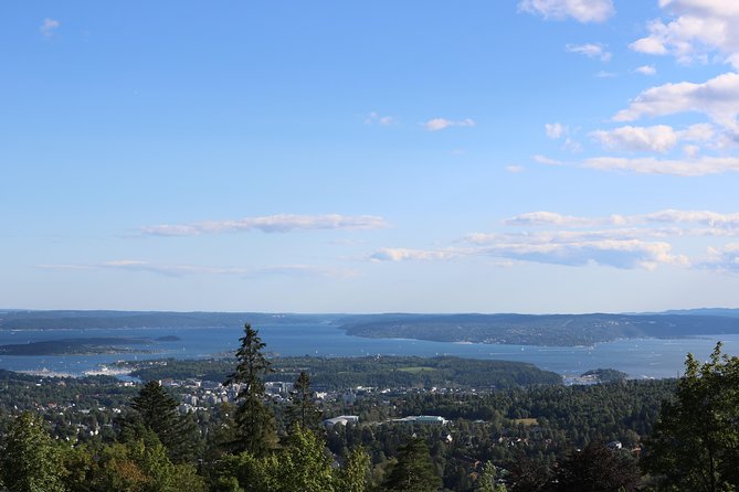Oslo Panorama Tour with Holmenkollen Ski Jump and Vigeland Park - Meeting at Haakon VII’s Gate and Rolling Out by Coach