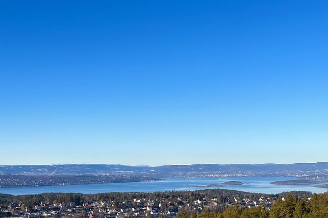 Oslo: Panoramic Fjord Hike Lead by a Local Guide and Dog - The dog factor: Nero, calm off-leash walking, and family comfort