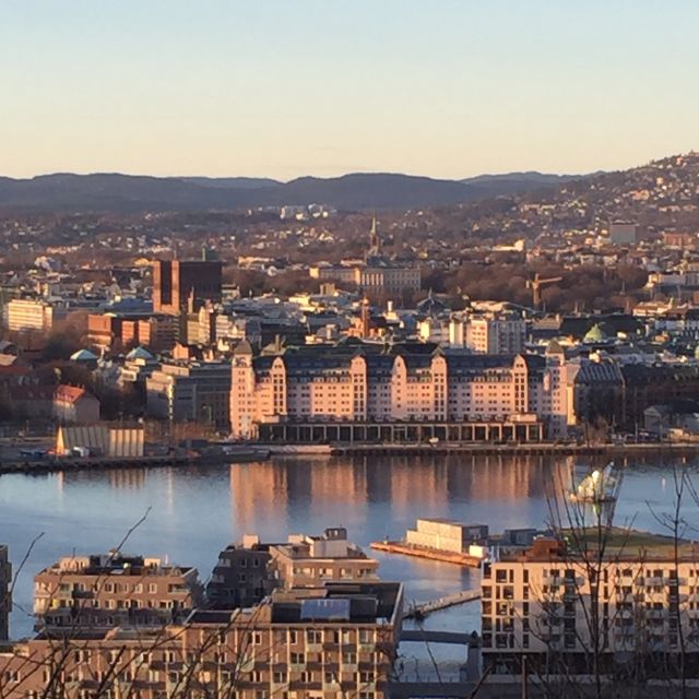 Oslo: Panoramic View and Sculpture Park Walk - Who this tour is best for