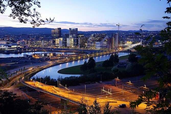 Oslo: Private VIP City Tour by Luxury Minivan with Driver & Guide - Holmenkollen included: why this viewpoint stop fits the day