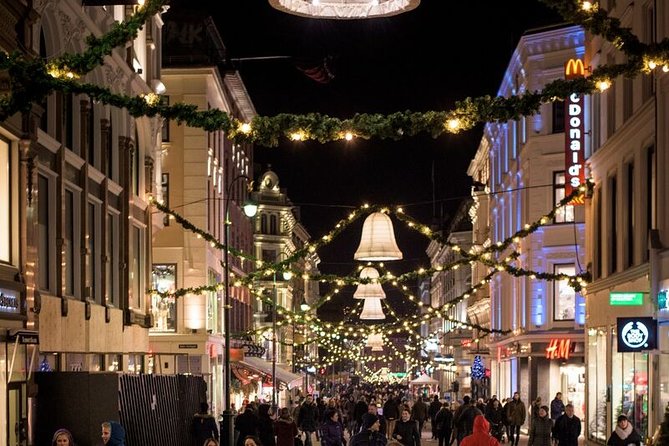 Oslo: Private VIP City Tour by Luxury Minivan with Driver & Guide - Guides and drivers: the best part is how they handle real life