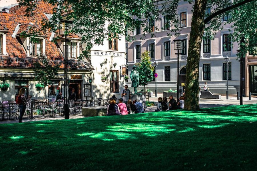 Oslo: Private Walking Tour - The grand stretch of Karl Johans gate, Parliament, and palace views