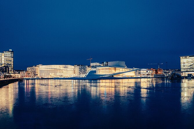 Oslo: Private Walking Tour with a Local - Oslo Cathedral or The Tiger: making the meeting point painless