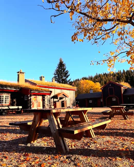 Oslo’s Secret Forest Gastronomy: Private Chef & Local Feast - Who should book this forest gastronomy tour