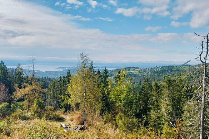 Oslo’s Ultimate Fjord View Hike & Norwegian Waffle Workshop - Frognerseteren Forest Walk: Norwegian Stories on a Peaceful Two-Hour Trek