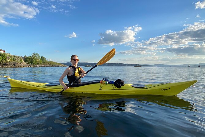 Oslo Sea Kayak Tour: Explore The Incredible Oslofjord - Oslofjord From Your Seat: The Point of This Kayak Tour