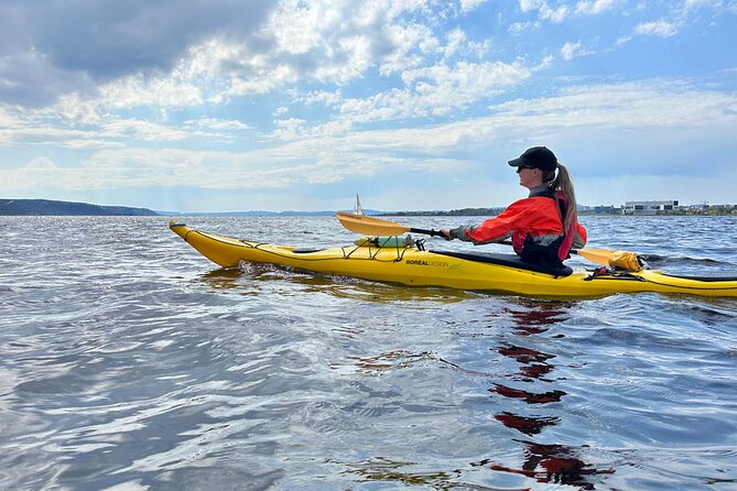 Oslo Sea Kayak Tour: Explore The Incredible Oslofjord - Who This Fits Best: Families, First-Timers, and Sight Lovers