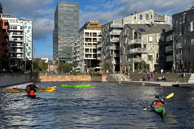 Oslo Sea Kayak Tour: Explore The Incredible Oslofjord - Should You Book This Oslo Sea Kayak Tour?