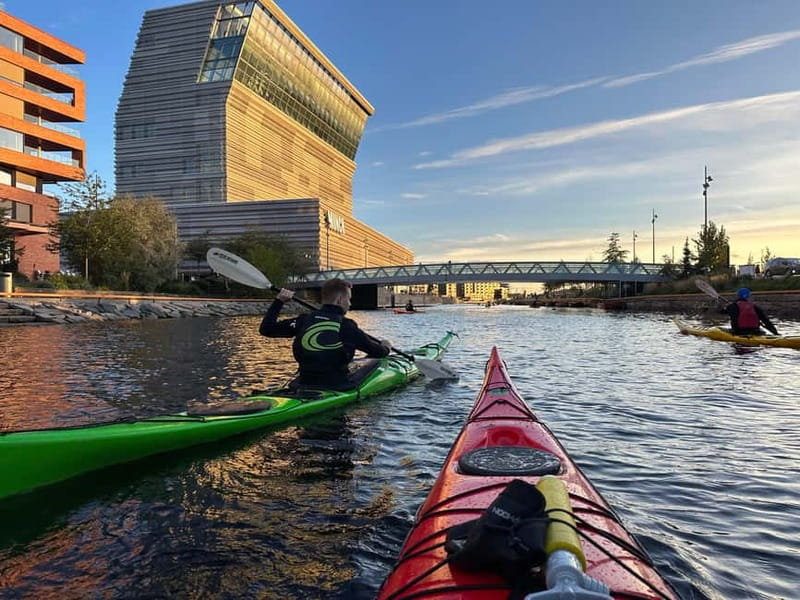 Oslo Sea Kayak Tour “Fjord City” - Who should book this Oslo sea kayak tour, and who shouldn’t
