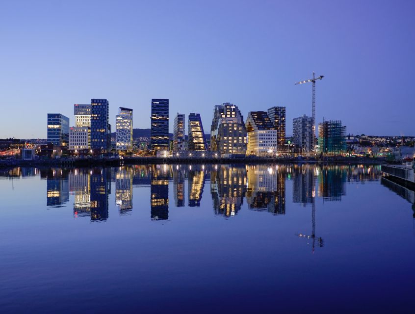 Oslo: Skyline in Winter With Fish Soup Cruise - Who should book this cruise