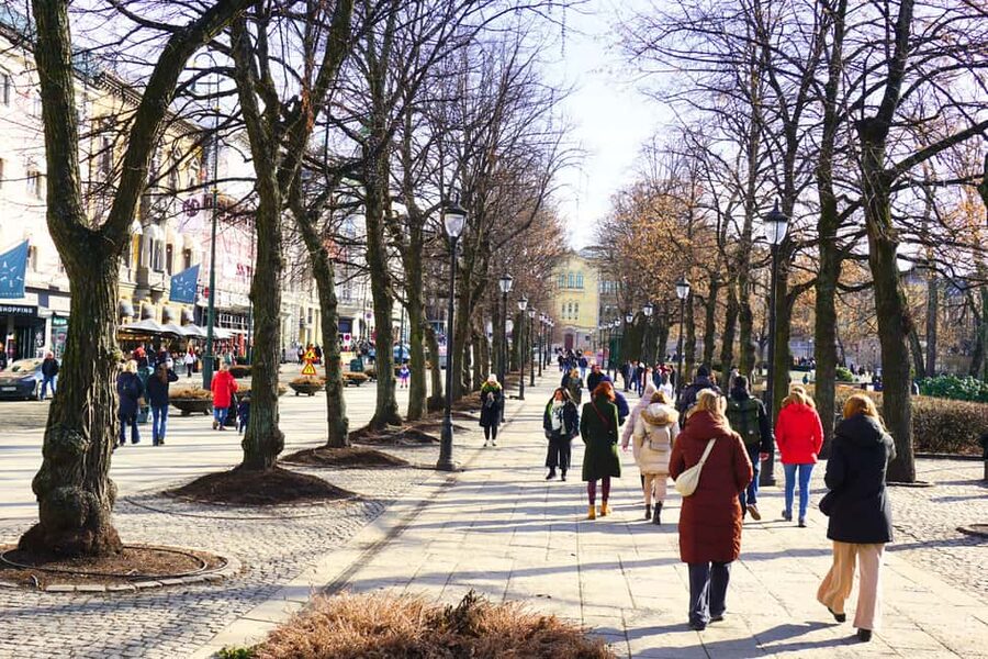 Oslo: Small Group History, Art & Secrets Tour - Timing, weather, and what to bring for a comfortable walk