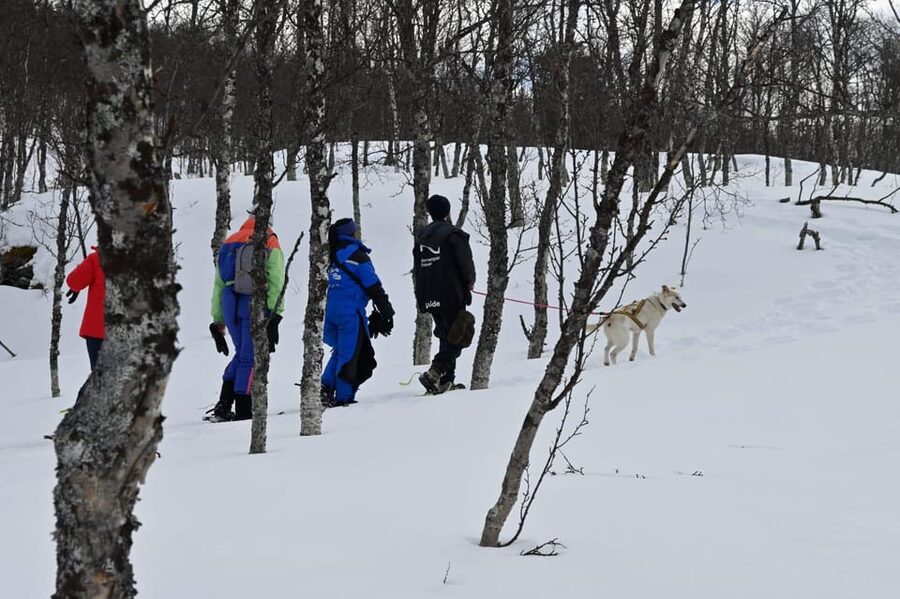Oslo: Snowshoeing in the Forest with Norwegian BBQ - Snowshoes in the Oslo Forest: walking at your own pace