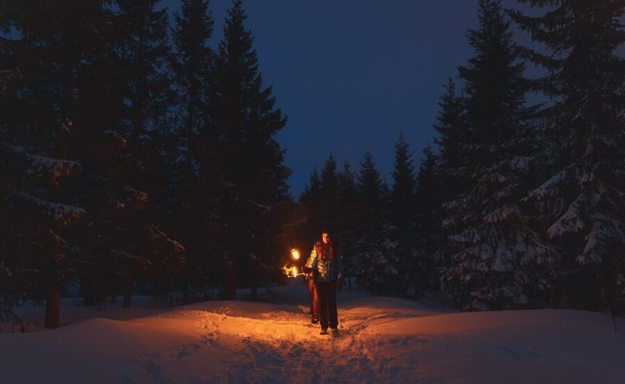 Oslo: Snowy Forest Torchlight Walk with Campfire - Key things that make this torchlight walk work