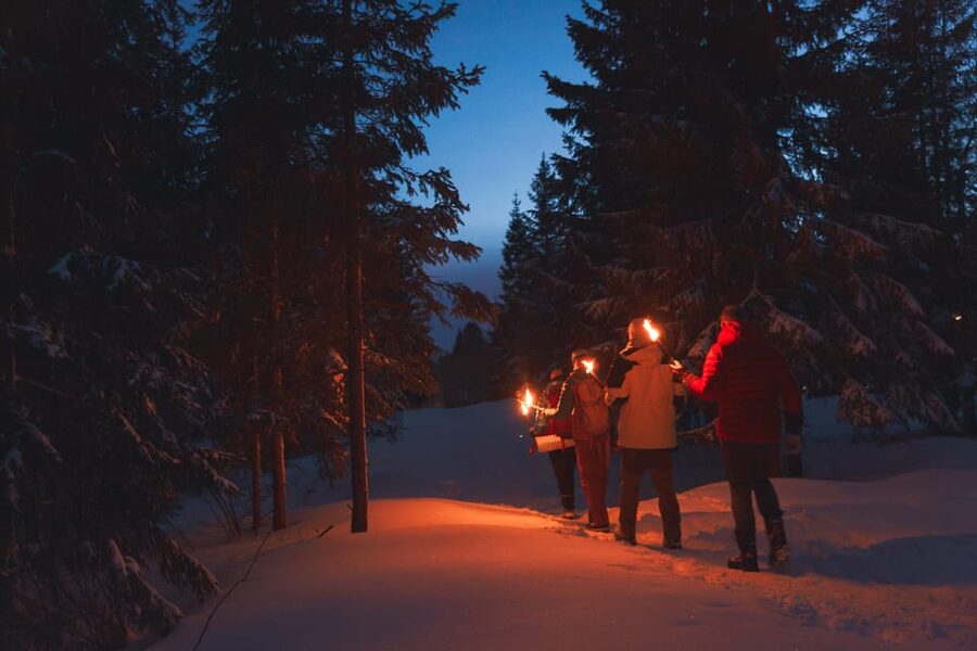 Oslo: Snowy Forest Torchlight Walk with Campfire - Starting at Backstube Opera, then up toward Frognerseteren