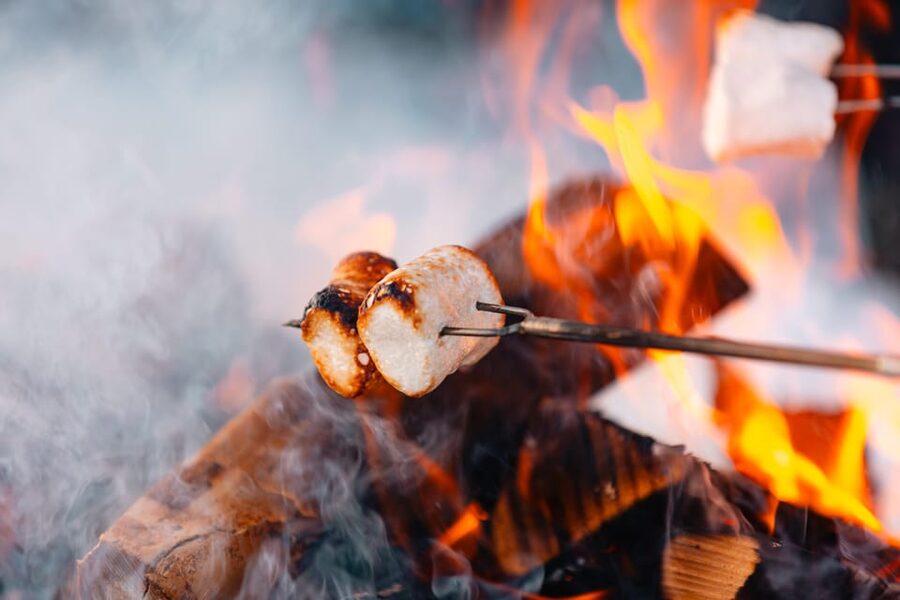 Oslo: Snowy Forest Torchlight Walk with Campfire - Price and value at about $93 per person