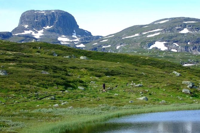 Oslo To Sognefjord Private Full Day Roundtrip Including Flam Railway - Back to Oslo: Long Drive Reality and Comfort Moves