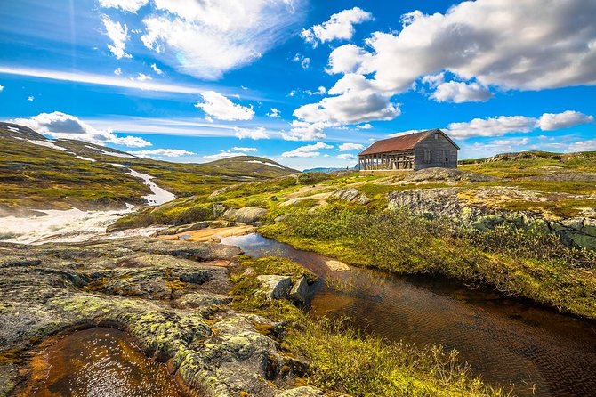 Oslo To Sognefjord Private Full Day Roundtrip Including Flam Railway - Price and Value: $1,083 Is a Logistics Price, Not a Lunch Price