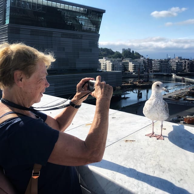 Oslo Unveiled: Private Walking Tour - Key highlights worth planning around
