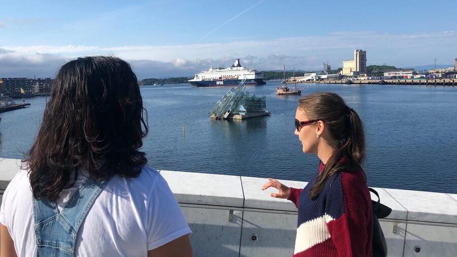 Oslo Unveiled: Private Walking Tour - Grünerløkka’s bohemian streets: where local energy shows up