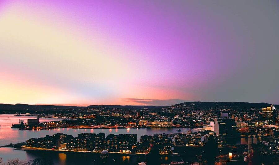 Oslo Unveiled: Private Walking Tour - Karl Johans gate and the Royal Palace, the city’s main stage