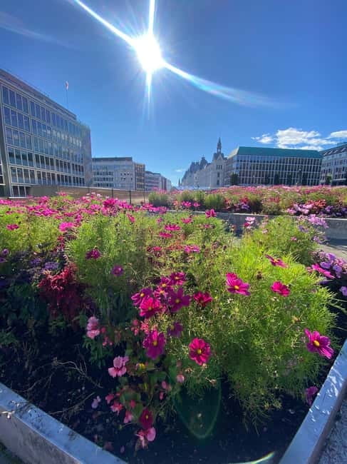 Oslo Walk:Private Walking Tour–City Highlights & Hidden Gems - Key highlights worth your attention