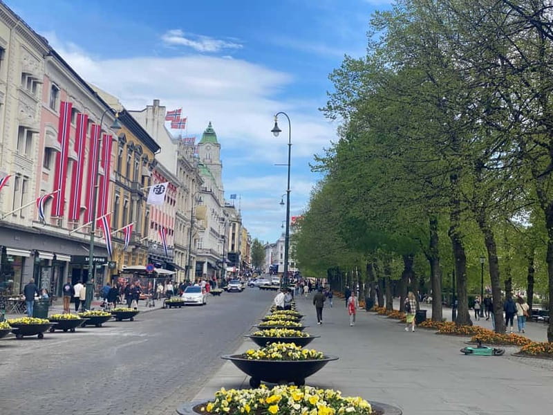 Oslo Walk:Private Walking Tour–City Highlights & Hidden Gems - Getting oriented fast: start points and how the walk is paced