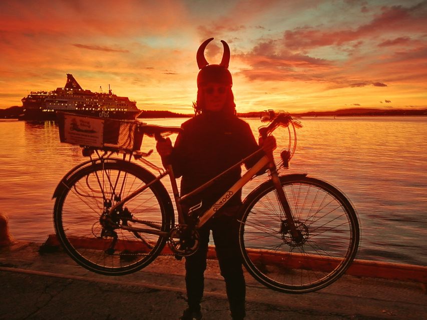 Oslo: Winter Highlights 3-Hour Bike Tour - Aker Brygge and Tjuvholmen: Portside Modern Oslo on Two Wheels