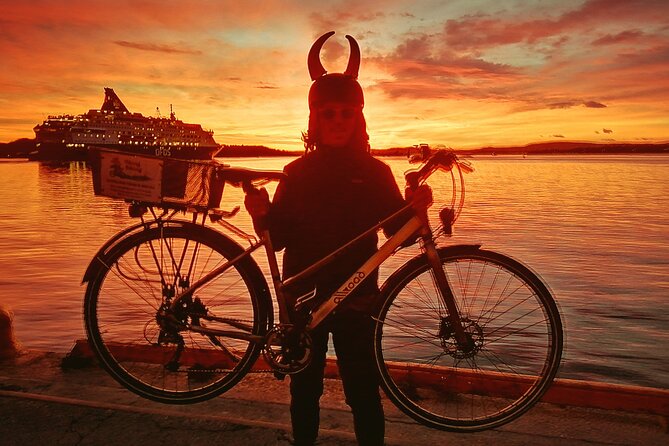 Oslo Winter Highlights Bike Tour - Winter-Ready Bikes, Real Sights, and a Short 3-Hour Plan