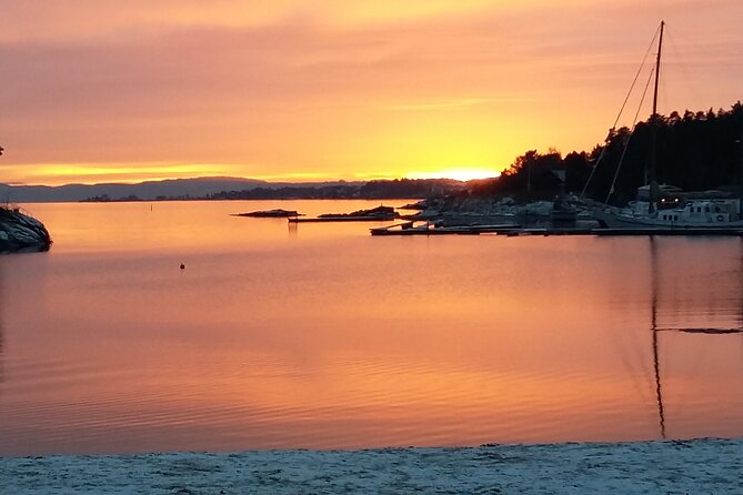 Oslo Winter Highlights Bike Tour - What the Guide Actually Does for You on This Tour