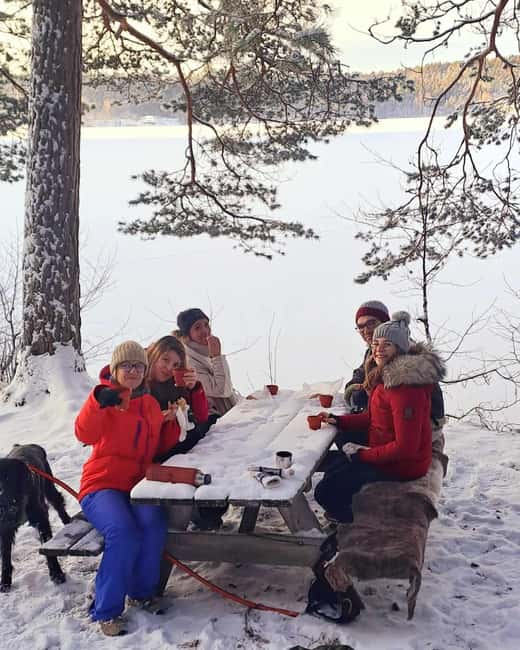 Oslo: Winter Wonderland Forest Hike and Campfire with a Dog - Key points at a glance