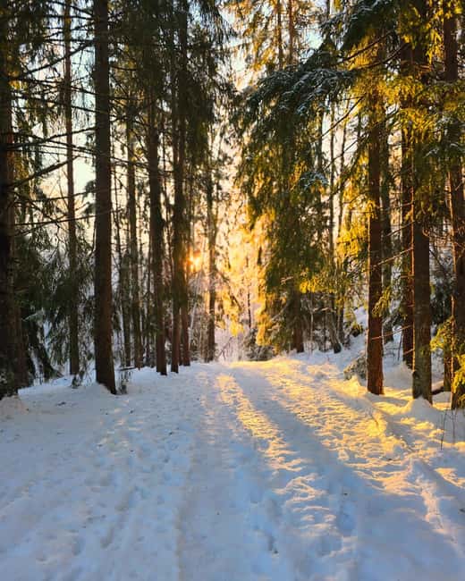Oslo: Winter Wonderland Forest Hike and Campfire with a Dog - Who this hike suits best (and who should skip)