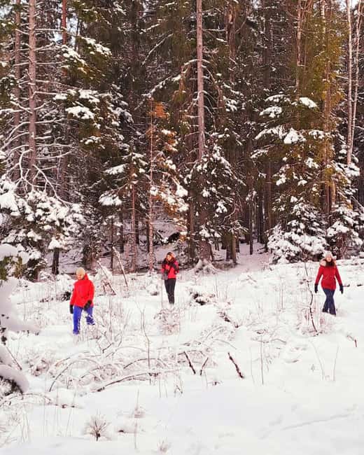 Oslo: Winter Wonderland Forest Hike and Campfire with a Dog - Village walks and local rhythm: more than just trees