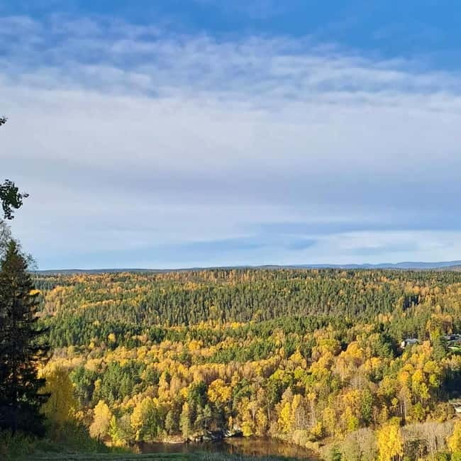 Oslo: Winter Wonderland Forest Hike and Campfire with a Dog - Meeting Ingunn and Nero: the dog factor that changes everything