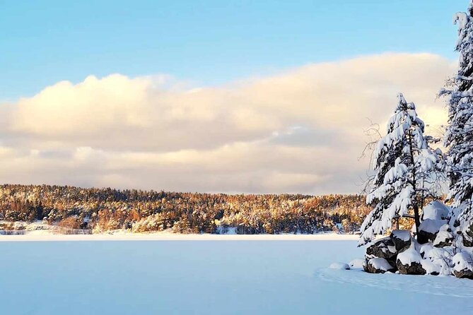 Oslo: Winter wonderland forest hike & campfire with a dog - Key things to know before you go
