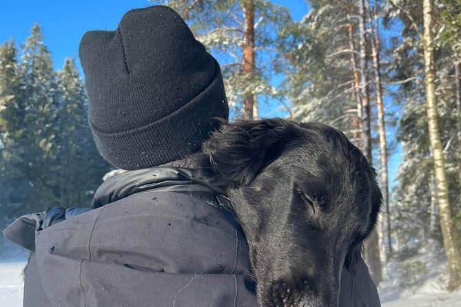 Oslo: Winter wonderland forest hike & campfire with a dog - A quick Oslo nature escape that actually feels away