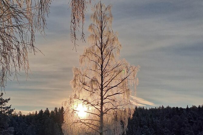 Oslo: Winter wonderland forest hike & campfire with a dog - Gjersjøen lake stop: waffles, hot drinks, and winter safety reality