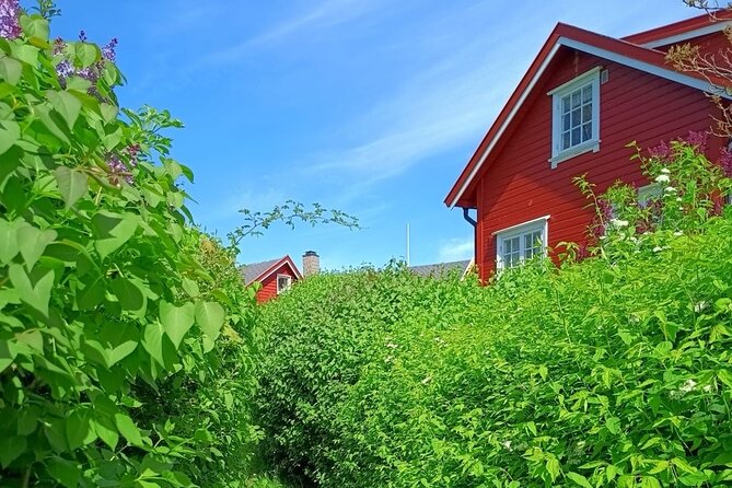 Oslofjord Island Hopping Tour - Key things to know