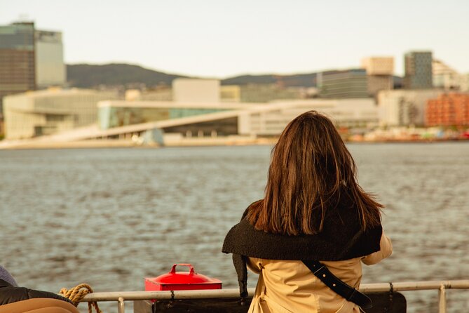 Oslofjord Sightseeing - Audio Guide in English: How to Make It Audible and Useful