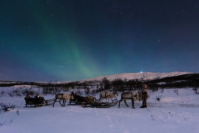 Overnight Stay with Reindeer Sledding & Feeding - Tromsø to Kvaløya: the drive that sets expectations