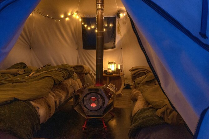 Overnight Stay with Reindeer Sledding & Feeding - Price and value: what $484 really buys