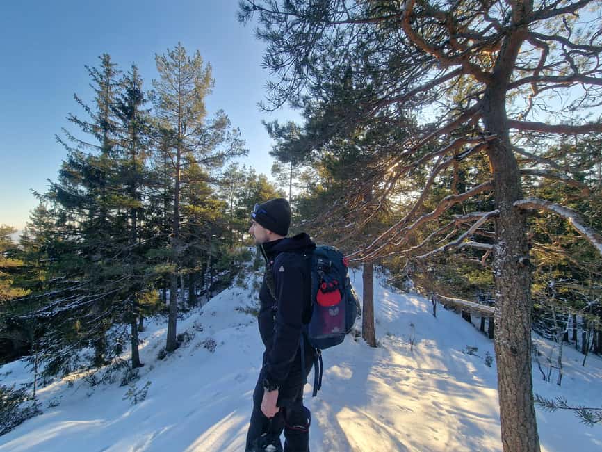 Panoramic Peaks – Oslo’s Most Beautiful Fjord Views Hike - Key things to know before you go