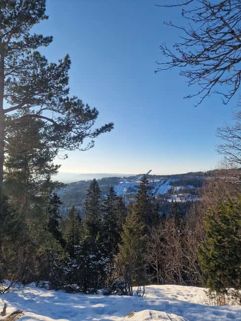 Panoramic Peaks – Oslo’s Most Beautiful Fjord Views Hike - The 4-hour flow: metro, guided walking, two viewpoints, return