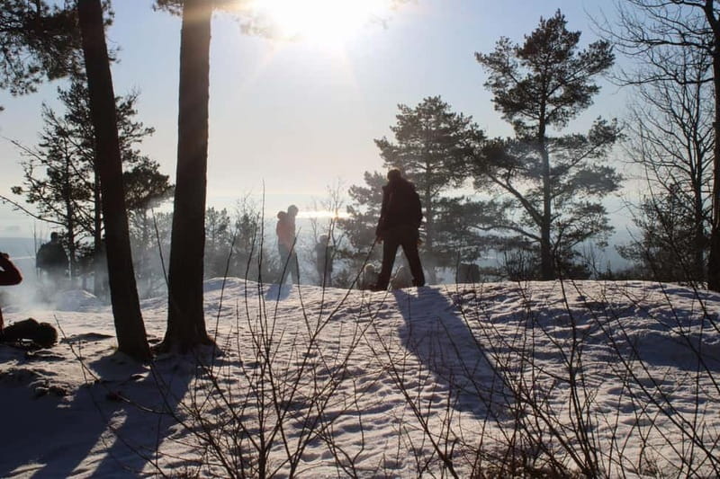 Panoramic Peaks – Oslo’s Most Beautiful Fjord Views Hike - The viewpoint breaks: where the photos actually happen