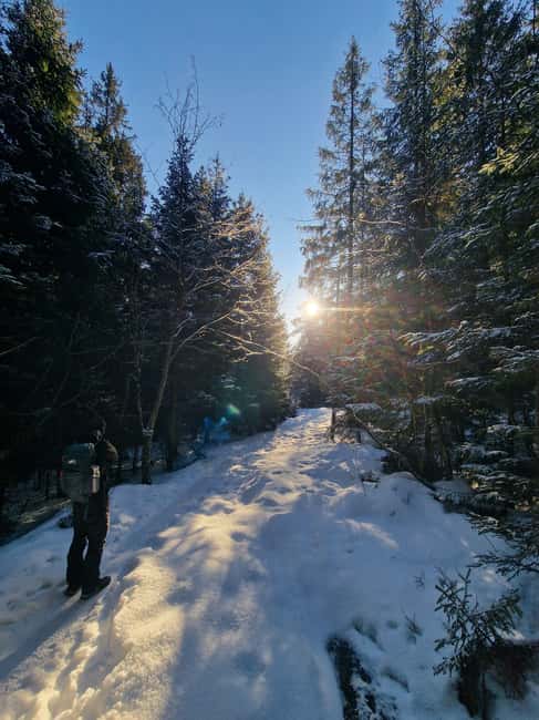 Panoramic Peaks – Oslo’s Most Beautiful Fjord Views Hike - What it feels like in winter, including spikes