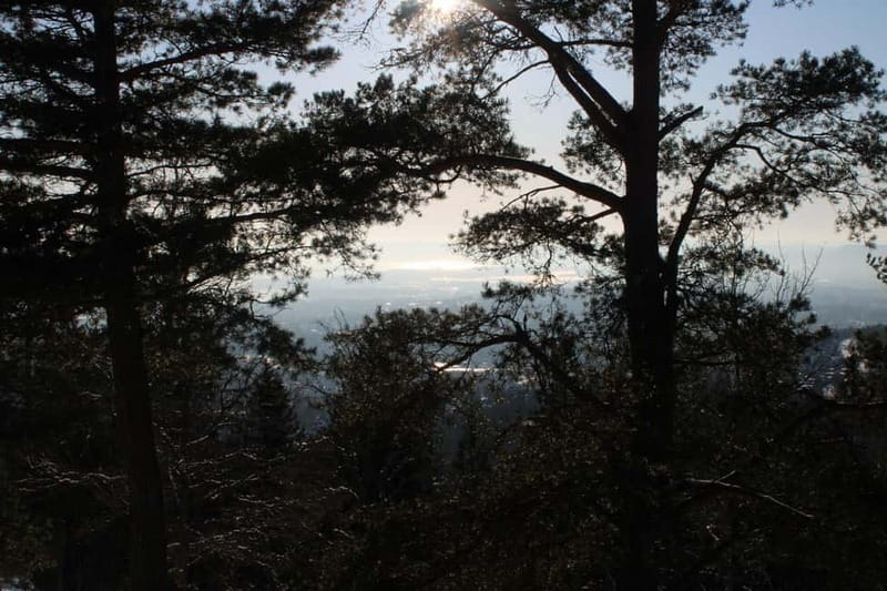 Panoramic Peaks – Oslo’s Most Beautiful Fjord Views Hike - Summer days: rolling hills, crisp air, and steady progress