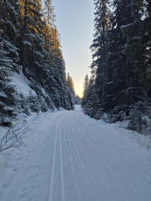 Panoramic Peaks – Oslo’s Most Beautiful Fjord Views Hike - Why Vettakollen is so good for fjord views