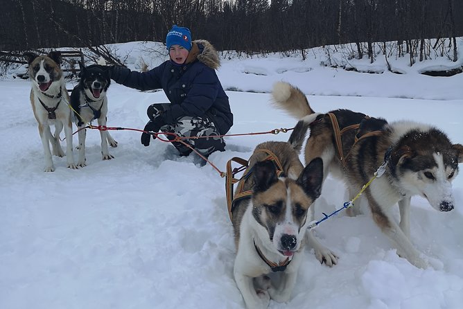 Privat sled trip with husky in the alta valley - Why this private husky sled trip in Alta feels different