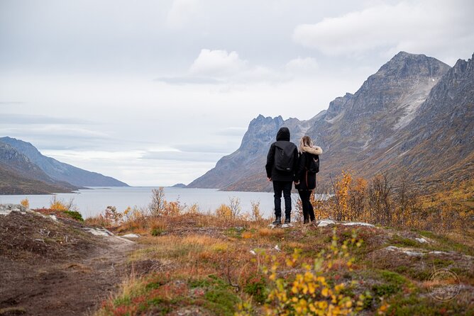 Private Arctic Fjord Roadtrip with Scenic Picnic from Tromso - Key Highlights Worth Getting Excited About